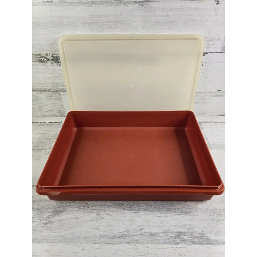 Vintage 70's Tupperware Paprika Rectangular Storage Container Sheer Lid 12x9x2
